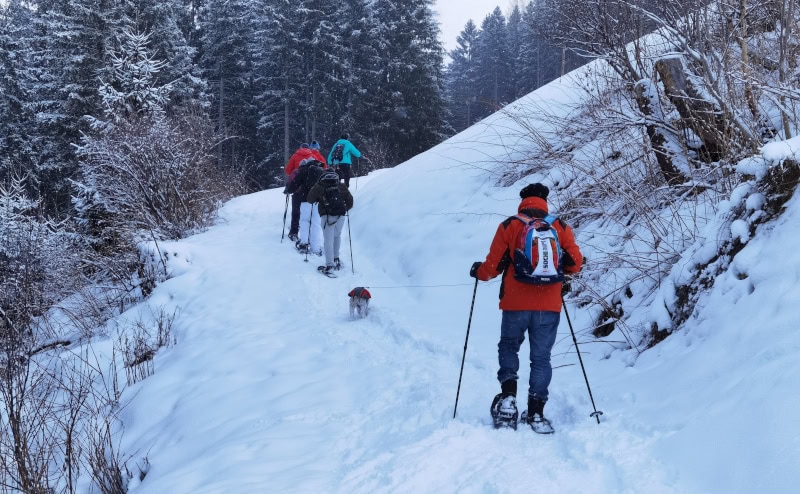Blauer Himmel, weißer Schnee und Schneeschuhe in der Silberregion Karwendel 17 Schneeschuhwanderung 48