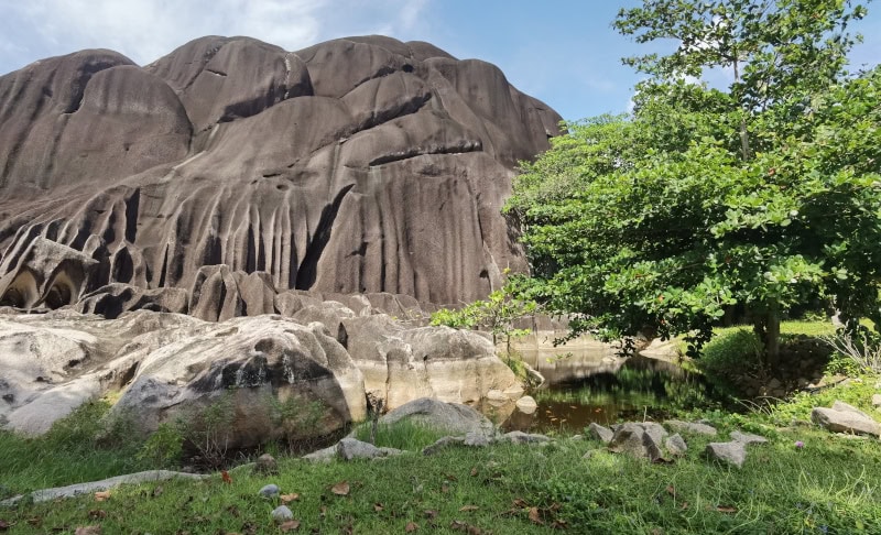 Die Seychellen-Insel La Digue mit dem Fahrrad erkunden 73 La Digue 11 LUNION ESTATE PARK