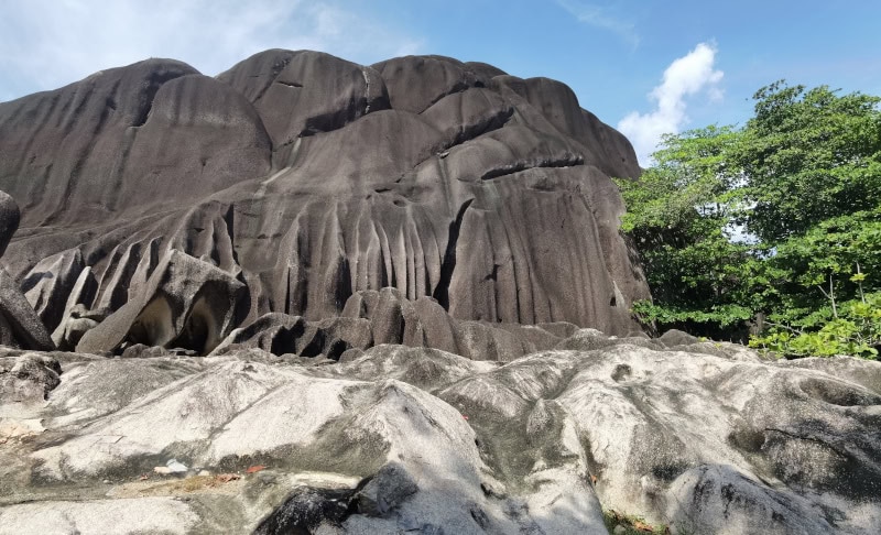 Die Seychellen-Insel La Digue mit dem Fahrrad erkunden 13 La Digue 12 LUNION ESTATE PARK