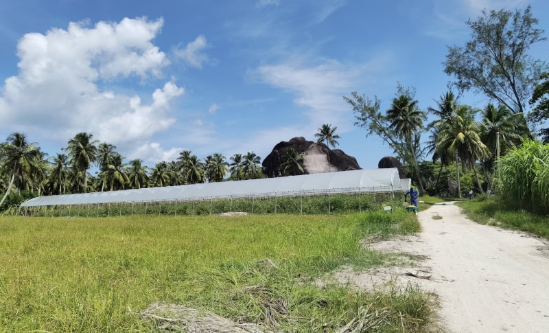 Die Seychellen-Insel La Digue mit dem Fahrrad erkunden 15 La Digue 18 LUNION ESTATE PARK