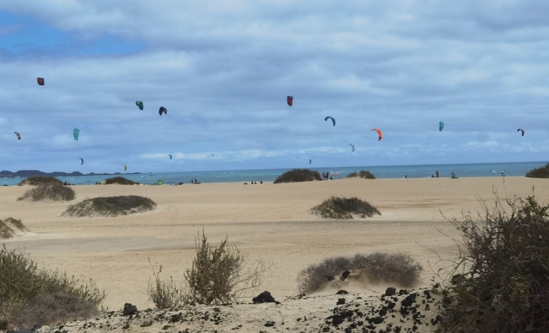 Vulkaninsel Fuerteventura mit dem E-Fatbike erkunden 9 Fuerteventura 11