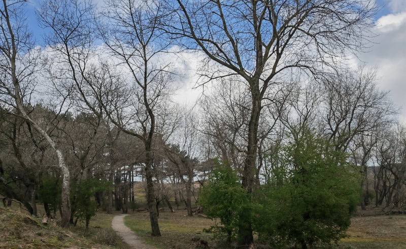 E-Biketour durch die Natur um Zandvoort - Nationalpark Zuid-Kennemerland 31 Zaanfort 354 E Biketour durch den Nationalpark