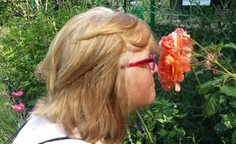 Radtour „Mit dem Rad nach Giverny zum Garten von Claude Monet“ 33 Garten von Claude Monet