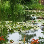 Claude Monets Garten 16