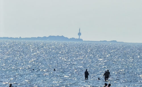 Wattwanderung Nationalpark Hamburgisches Wattenmeer