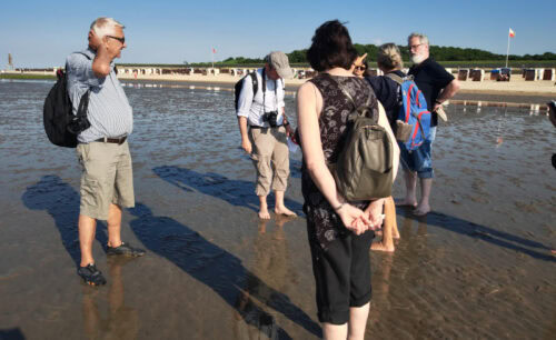 Wattwanderung Nationalpark Hamburgisches Wattenmeer