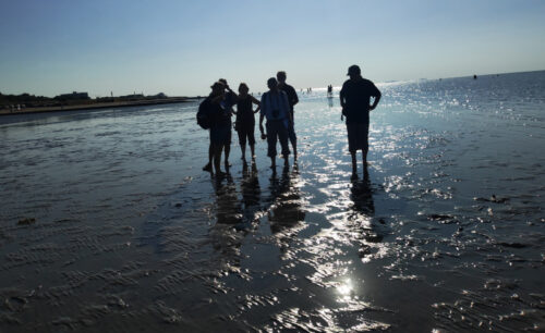 Wattwanderung Nationalpark Hamburgisches Wattenmeer