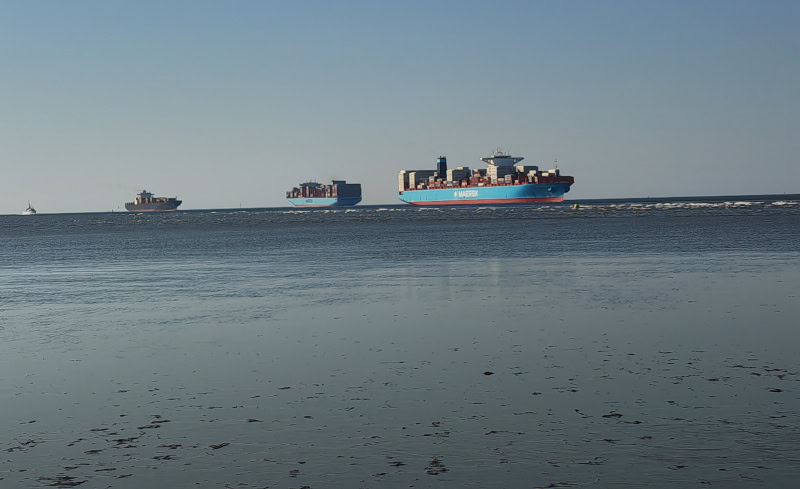 Wattwanderung in Cuxhaven am Flutsaum der Nordsee 35 Wattwanderung Nationalpark Hamburgisches Wattenmeer