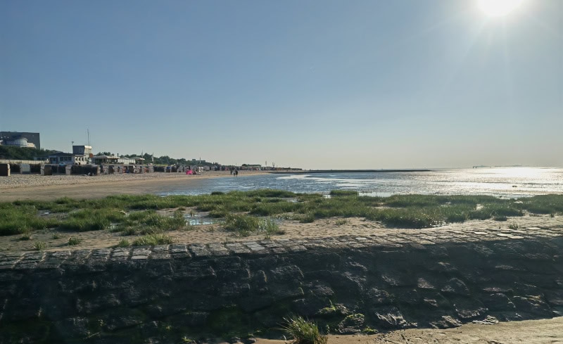 Wattwanderung in Cuxhaven am Flutsaum der Nordsee 42 Wattwanderung Nationalpark Hamburgisches Wattenmeer