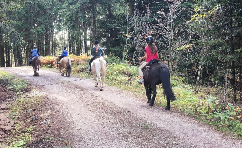 Wanderung von Vöran nach Mölten in Südtirol 53 Bacher Hof