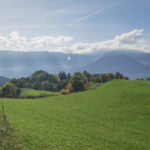 wandern auf dem Tschoegglberg von Voeran nach Moelten 1