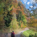 wandern auf dem Tschoegglberg von Voeran nach Moelten 107