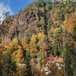 wandern auf dem Tschoegglberg von Voeran nach Moelten 110