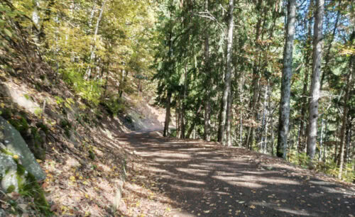 wandern auf dem Tschögglberg von Vöran nach Mölten