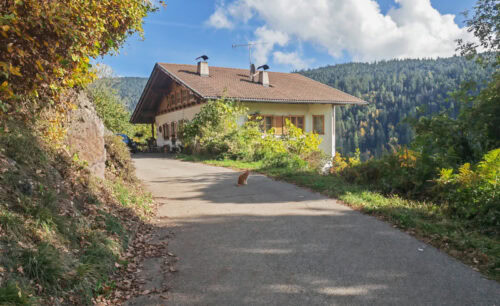 wandern auf dem Tschögglberg von Vöran nach Mölten