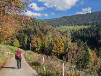 wandern auf dem Tschoegglberg von Voeran nach Moelten 15