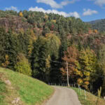 wandern auf dem Tschoegglberg von Voeran nach Moelten 16