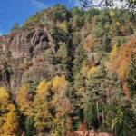 wandern auf dem Tschoegglberg von Voeran nach Moelten 19