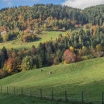 wandern auf dem Tschoegglberg von Voeran nach Moelten 22