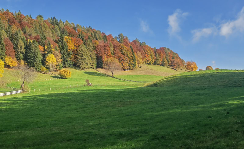 Wanderung von Vöran nach Mölten in Südtirol 44 wandern auf dem Tschögglberg von Vöran nach Mölten
