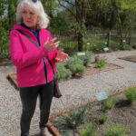 Auf den Spuren von Pfarrer Kneipp in Bad Wörishofen 49 Bad Woerishofen Kurpark 615 Kneippgarten