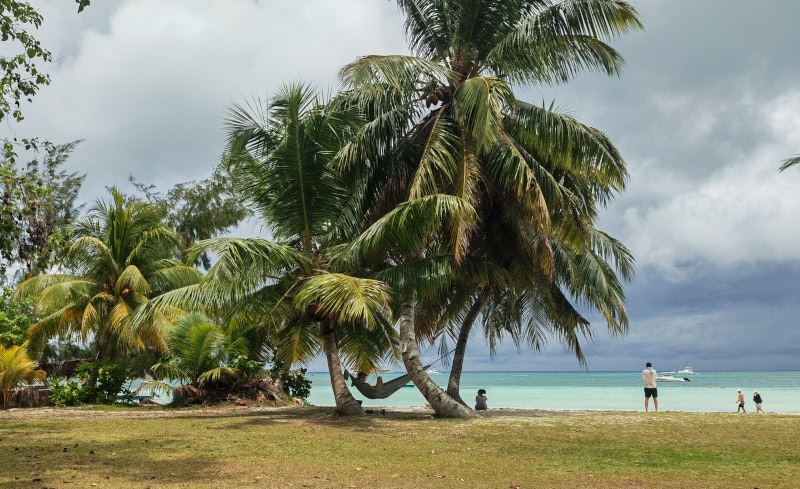Spaziergang im „Urwald“ Vallée de Mai auf der Insel Praslin 35 Praslin