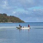 Spaziergang im „Urwald“ Vallée de Mai auf der Insel Praslin 39 Pralin 15 Anlandung