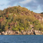 Spaziergang im „Urwald“ Vallée de Mai auf der Insel Praslin 36 Pralin 4