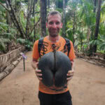 Spaziergang im „Urwald“ Vallée de Mai auf der Insel Praslin 16 Vallee de Mai 124 Coco de Mare