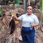Spaziergang im „Urwald“ Vallée de Mai auf der Insel Praslin 31 Vallee de Mai 129