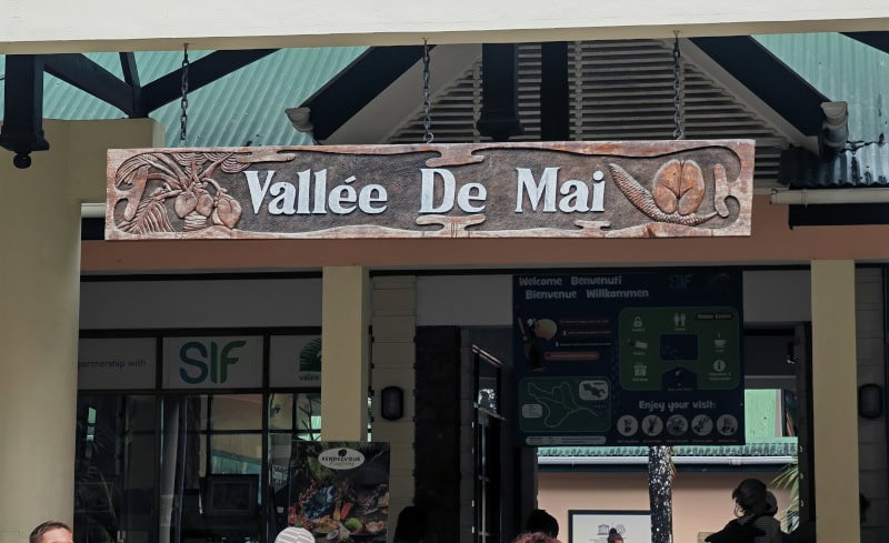 Spaziergang im „Urwald“ Vallée de Mai auf der Insel Praslin 10 Vallée de Mai