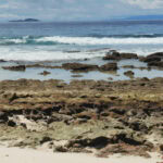 Ausflug zur Vogelinsel Aride auf den Seychellen 58 Aride 23