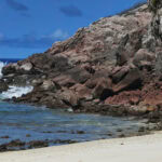 Ausflug zur Vogelinsel Aride auf den Seychellen 57 Aride 24