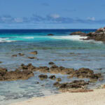 Ausflug zur Vogelinsel Aride auf den Seychellen 56 Aride 25