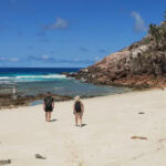 Ausflug zur Vogelinsel Aride auf den Seychellen 60 Aride 26