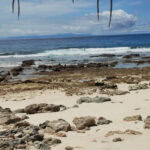 Ausflug zur Vogelinsel Aride auf den Seychellen 59 Aride 27
