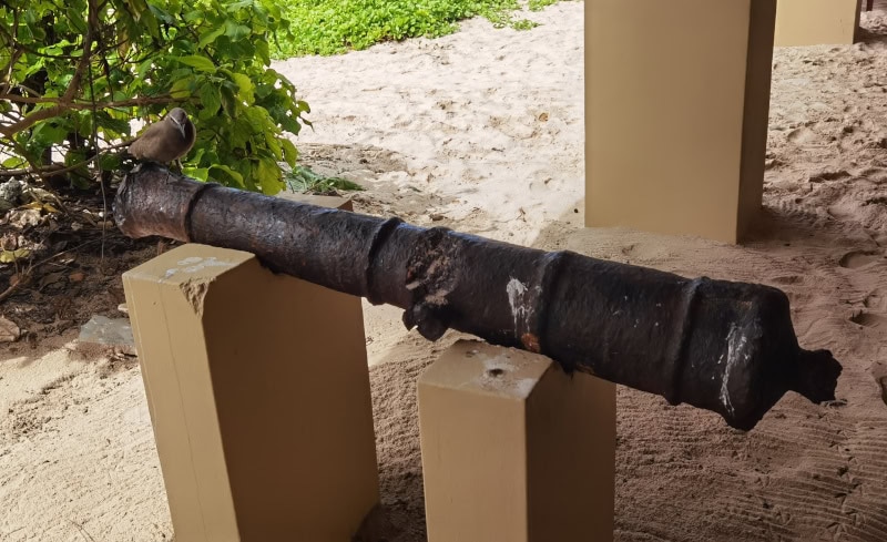 Ausflug zur Vogelinsel Aride auf den Seychellen 11 Aride