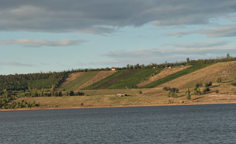 Ausflug auf den Geiseltalsee im Saalekreis in Sachsen-Anhalt 6 Geiseltalsee, Weinberg