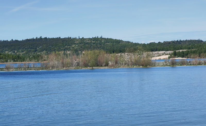 Ausflug auf den Geiseltalsee im Saalekreis in Sachsen-Anhalt 9 Geiseltalsee