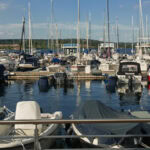 Ausflug auf den Geiseltalsee im Saalekreis in Sachsen-Anhalt 13 Geiseltalsee 58 Marina Muecheln