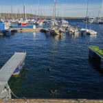 Ausflug auf den Geiseltalsee im Saalekreis in Sachsen-Anhalt 14 Geiseltalsee 60 Marina Muecheln