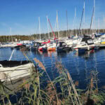 Ausflug auf den Geiseltalsee im Saalekreis in Sachsen-Anhalt 15 Geiseltalsee 61 Marina Muecheln