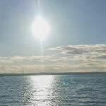 Ausflug auf den Geiseltalsee im Saalekreis in Sachsen-Anhalt 33 Geiseltalsee 9