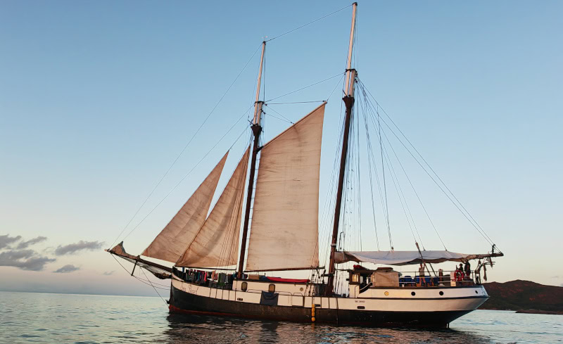 Ausflug zur Vogelinsel Aride auf den Seychellen 66 Sea Prarl