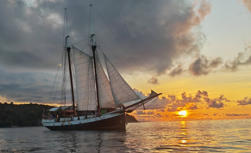 Ausflug zur Vogelinsel Aride auf den Seychellen 65 Sea Pearl