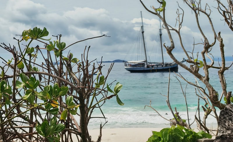 Ausflug zur Vogelinsel Aride auf den Seychellen 63 Sea Pearl vor Aride