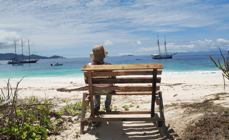Ausflug zur Vogelinsel Aride auf den Seychellen 64 Sea Pearl vor Aride