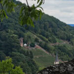 Wandern auf dem Fränkischen Rotwein-Wanderweg in Churfranken 8 Fraenkischer Rotweinwanderweg 10