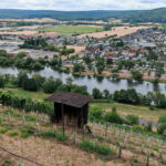 Wandern auf dem Fränkischen Rotwein-Wanderweg in Churfranken 9 Fraenkischer Rotweinwanderweg 14