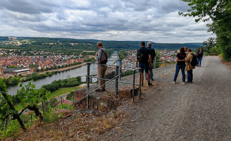Wandern auf dem Fränkischen Rotwein-Wanderweg in Churfranken 5 Fränkischer Rotweinwanderweg